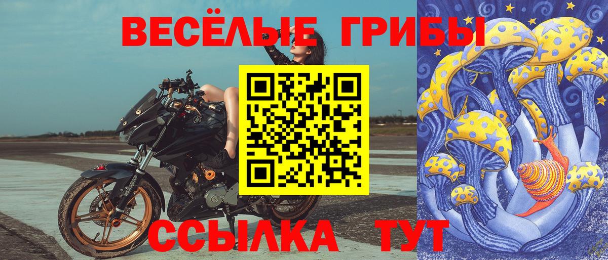 Самара  Галлюциногенные грибы Psilocybe  Вход с VPN 